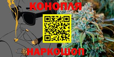 спайс Гагарин