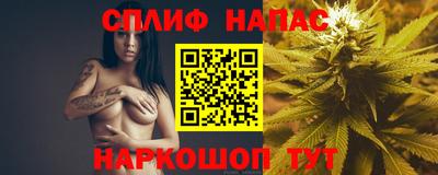 меф Гатчина