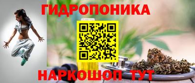 спиды Гусев